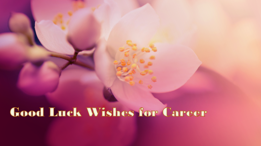 Good Luck Wishes for Career