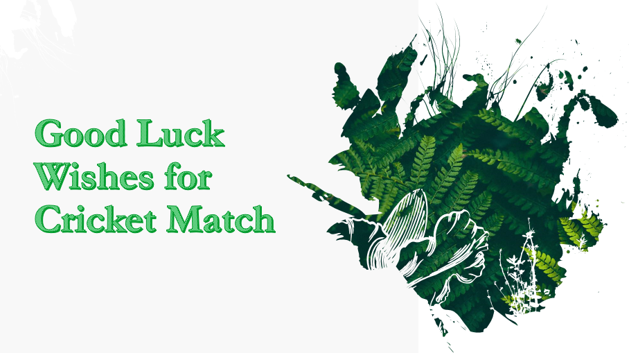 Good Luck Wishes for Cricket Match