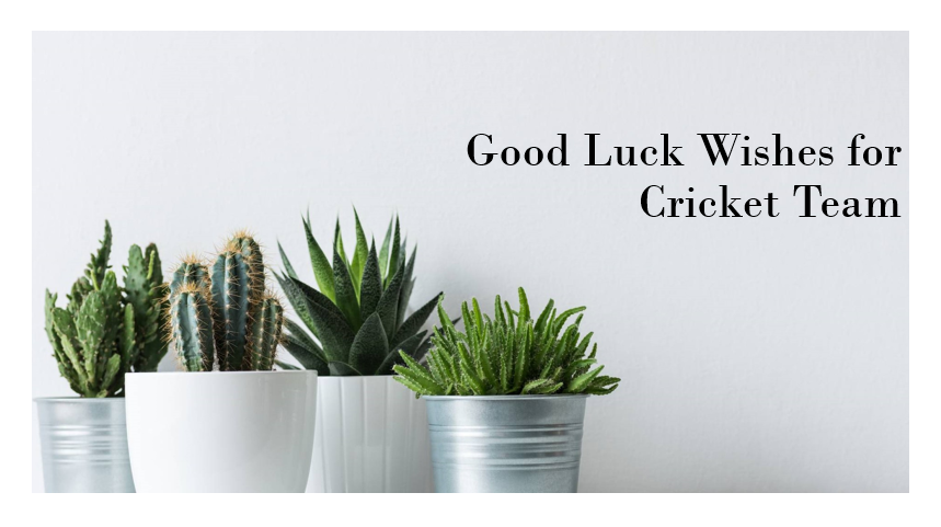 Good Luck Wishes for Cricket Team